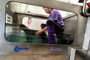 Reanimalia proporciona tratamientos de hidroterapia en cinta para lesiones en animales, en la provincia de Cádiz